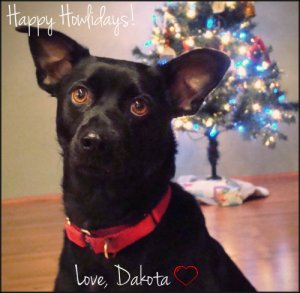 dakota-xmascard